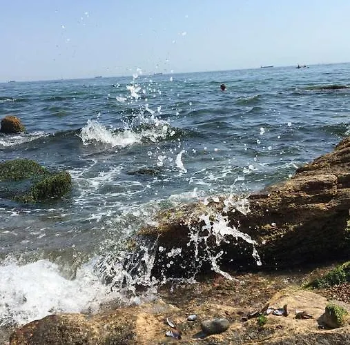 Apartman Pearl Of Black Sea